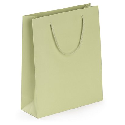 Matt finish laminated paper gift bags, sage green, 250x300x90mm, pack of 25 - 1