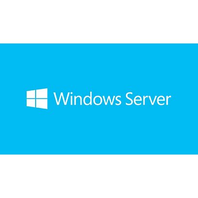 Microsoft Windows Server CAL 2019, Fabricant d'équipement d'origine (OEM), Licence d'accès client, 1 licence(s), 5 utilisateur(s), 32 Go, 0,512 Go R18