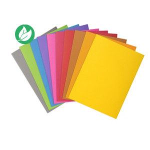 MONDOFFICE Sous-chemises 80g - 22 x 31 cm - Assortis vifs - Lot de 30 MONDOFFICE Sous-chemises 80g - 22 x 31 cm - Assortis vifs - Lot de 30