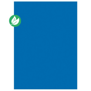 MONDOFFICE Chemises dossiers 220g - 24 x 32 cm - Bleu Turquoise Vif - Lot de 100 MONDOFFICE Chemises dossiers 220g - 24 x 32 cm - Bleu Turquoise Vif - Lot de 100