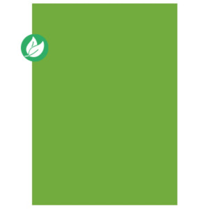 MONDOFFICE Chemises dossiers 220g - 24 x 32 cm - Menthe - Lot de 100 MONDOFFICE Chemises dossiers 220g - 24 x 32 cm - Menthe - Lot de 100