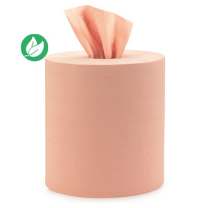 MONDOFFICE Essuie-tout papier recyclé double épaisseur - Bobine chamois 800 feuilles 26 x 30 cm - 510575 - Lot de 2 rouleaux de 240 m MONDOFFICE Essuie-tout papier recyclé double épaisseur - Bobine chamois 800 feuilles 26 x 30 cm - 510575 - Lot de 2 rouleaux de 240 m