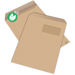 MONDOFFICE Pochette kraft brun Arès C4 229 x 324 mm 90g fenêtre 50 x 100 mm - autocollante - Lot de 250 MONDOFFICE Pochette kraft brun Arès C4 229 x 324 mm 90g fenêtre 50 x 100 mm - autocollante - Lot de 250