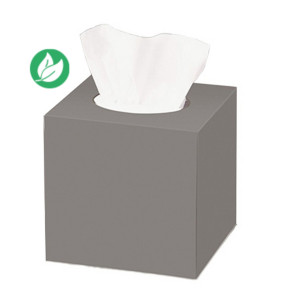 Mouchoirs économiques double épaisseur - Boîte format cube de 90 Mouchoirs économiques double épaisseur - Boîte format cube de 90