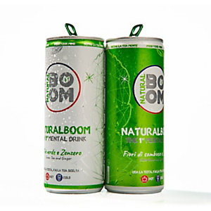 NATURALBOOM Mix Pack: 6 lattine Tè Verde e Zenzero + 6 lattine Fiori di Sambuco e Limone, Lattina da 250 ml