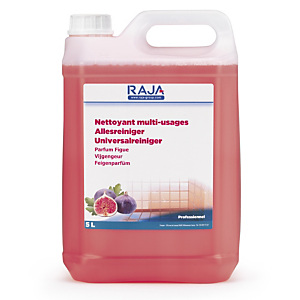 Nettoyant parfumé multi-usages RAJA Nettoyant parfumé multi-usages RAJA