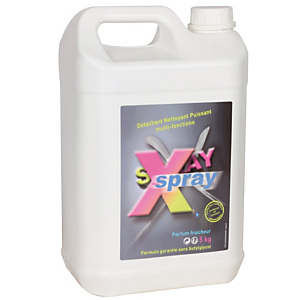 Nettoyant surpuissant X-spray Anios 5 L Nettoyant surpuissant X-spray Anios 5 L