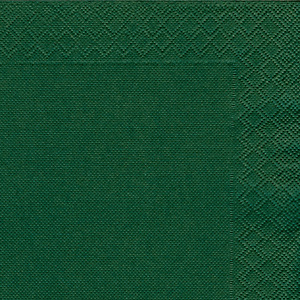 NUPIK Servilletas de papel de dos capas, desechables, 330 x 330 mm, verdes, 50 en cada pack NUPIK Servilletas de papel de dos capas, desechables, 330 x 330 mm, verdes, 50 en cada pack