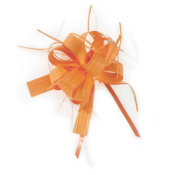 Oranje strik met raffia-effect - 1