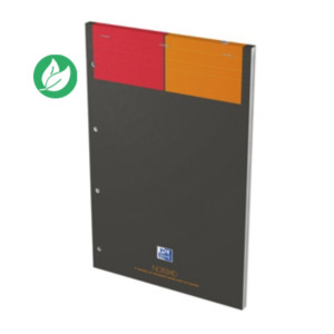 Oxford Bloc notes agrafé International 21 x 32 cm - 90g - Perforé 4 trous - Petits carreaux 5x5 - 160 pages Oxford Bloc notes agrafé International 21 x 32 cm - 90g - Perforé 4 trous - Petits carreaux 5x5 - 160 pages