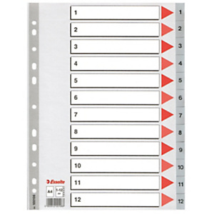 Pakje van 2 tabbladen 12 numerieke geprinte grijze tabs Esselte in polypropyleen A4 formaat