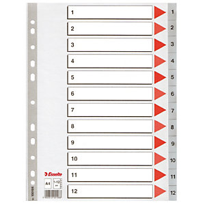 Pakje van 2 tabbladen 12 numerieke geprinte grijze tabs Esselte in polypropyleen A4 formaat