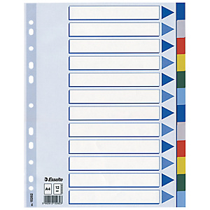 Pakje van 2 tabbladen 12 veelkleurige neutrale versterkingen tabs Esselte in polypropyleen A4 formaat