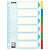Pakje van 2 tabbladen 6 kleur neutrale tabs Esselte in sterkte kaart A4 formaat - 1
