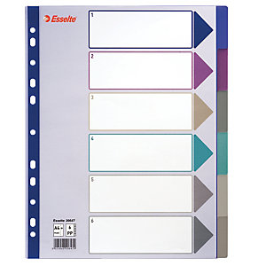 Pakje van 2 tabbladen 6 veelkleurige neutrale tabs Esselte in polypropyleen A4 formaat