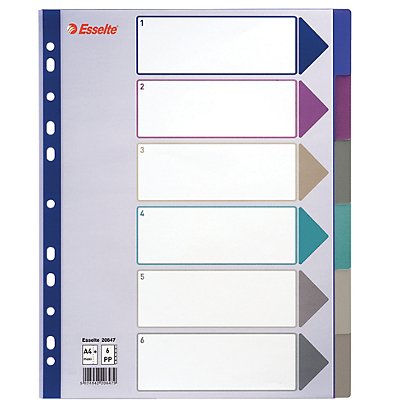 Pakje van 2 tabbladen 6 veelkleurige neutrale tabs Esselte in polypropyleen A4 formaat