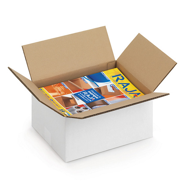 Palletiseerbare kartonnen doos in wit dubbelgolfkarton 48,5 x 38,5 x 25 cm - 1