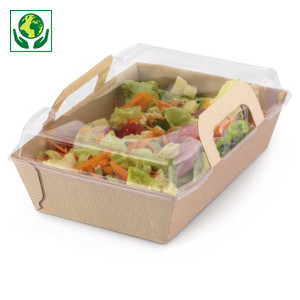 Panier salade carton
