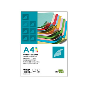 Papel 10 colores surtidos A4 80 gr 100h