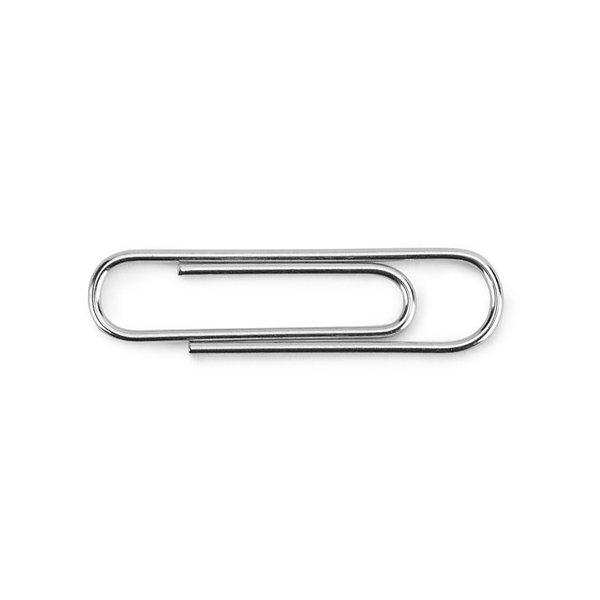 Paperclips RAJA 25 mm 100 stuks - 4