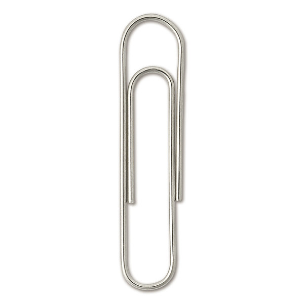Paperclips RAJA 25 mm 500 stuks - 1