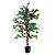PAPERFLOW Pianta artificiale Ficus Benjamin, Altezza 120 cm - 2