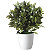 Paperflow Planta artificial Laurel, 50 cm - 3