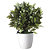 PAPERFLOW Pot de fleurs San Remo, diamètre 20 cm - Blanc - 3