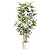 PAPERFLOW Pot de fleurs San Remo, diamètre 25 cm - Blanc - 4