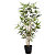 Paperflow Pot de fleurs San Remo, diamètre 25 cm - Gris anthracite - 4
