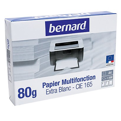 Papier blanc ramette multifonction 100% recyclé tecno Pure 80g A4