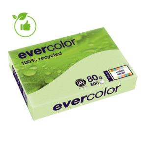 Papier couleur Evercolor Clairefontaine vert A4 80g, 5 ramettes de 500 feuilles