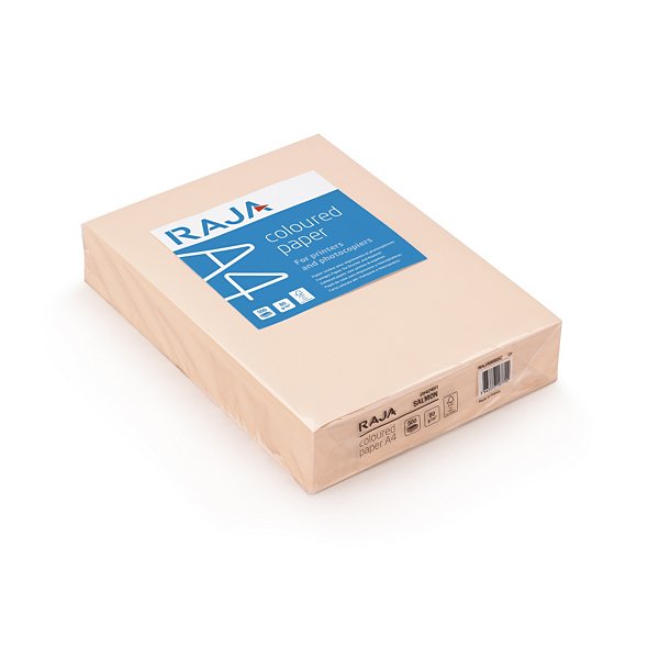 Papier couleur RAJA - 4