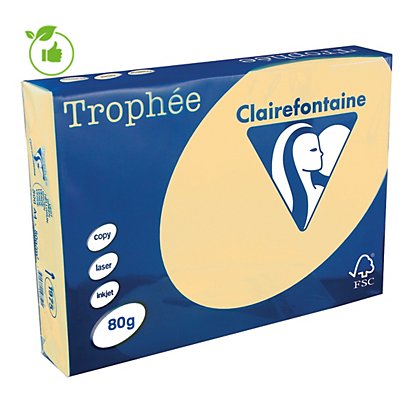 Papier couleur Trophée Clairefontaine chamois A4 80g, 5 ramettes de 500 feuilles - 1