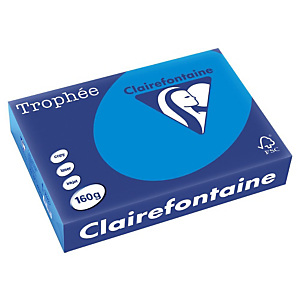 Papier couleur Trophée Clairefontaine turquoise A4 160g, ramette 250 feuilles Papier couleur Trophée Clairefontaine turquoise A4 160g, ramette 250 feuilles