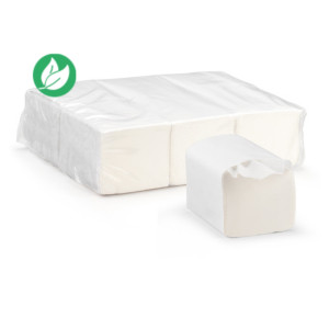 Papier toilette en paquet économique 250 feuilles - Blanc - lot de 36