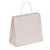 Pastel coloured Kraft paper carrier bags with twisted handles, aqua, 320x280x130mm, pack of 50 - 2