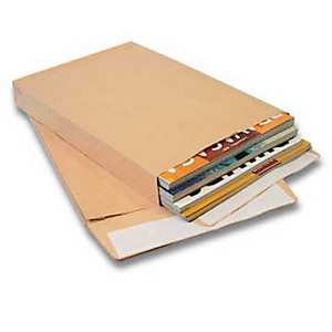 PIGNA Busta per catalogo, Autoadesiva, Carta Kraft, B4 internazionale, 353 x 250 x 40 mm, Avana (confezione 250 pezzi) PIGNA Busta per catalogo, Autoadesiva, Carta Kraft, B4 internazionale, 353 x 250 x 40 mm, Avana (confezione 250 pezzi)