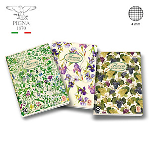 PIGNA Quaderni Nature A4, 42 fogli a quadretti 4 mm, Senza margini, Copertina in cartoncino, Colori assortiti (confezione 10 pezzi) PIGNA Quaderni Nature A4, 42 fogli a quadretti 4 mm, Senza margini, Copertina in cartoncino, Colori assortiti (confezione 10 pezzi)