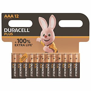 Piles Alcalines Duracell Plus LR03 AAA, lot de 12