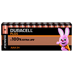 Piles Alcalines Duracell Plus LR03 AAA, lot de 24