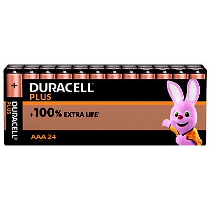 Piles Alcalines Duracell Plus LR03 AAA, lot de 24 - Piles alcalines