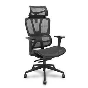 PIQUERAS Y CRESPO Mesh Silla ergonómica, Sincro, asiento traslack, Brazos 3D, Cabecero regulable, Negro PIQUERAS Y CRESPO Mesh Silla ergonómica, Sincro, asiento traslack, Brazos 3D, Cabecero regulable, Negro