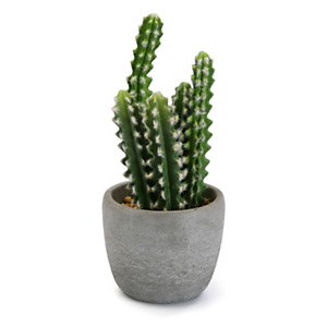 Planta artificial cactus tallo columna, maceta cemento, 14 ø x 33 cm Planta artificial cactus tallo columna, maceta cemento, 14 ø x 33 cm