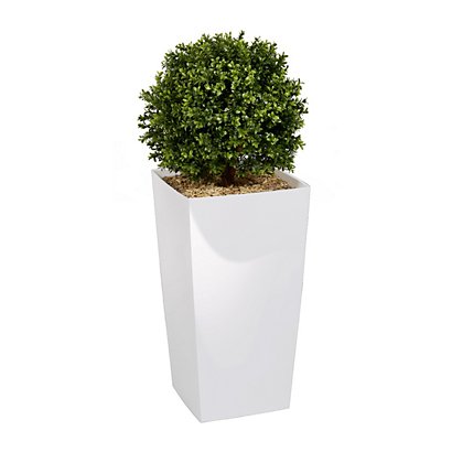 Plante artificielle d'intérieur Buis - Pot blanc - Plantes & Potsfavorable  à acheter dans notre magasin