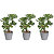Plante artificielle succulentes - Pot rond en terre cuite - Lot de 3 - 1