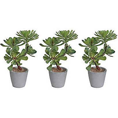 Plante artificielle succulentes - Pot rond en terre cuite - Lot de 3