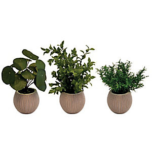 Plantes artificielles Botanica - Pot rond en terre cuite - Lot de3