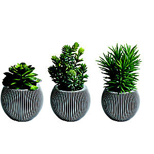 Plantes artificielles Herboria - Pot rond en terre cuite - Lot de 3