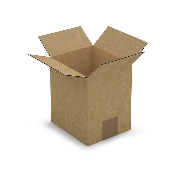 Platte doos bruin enkelgolfkarton RAJA 15 x 13 x 17 cm - 1